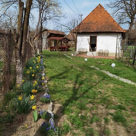 Sovarlak Sarateni Экстерьер фото