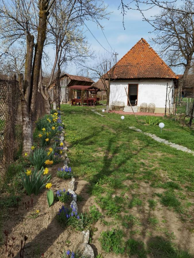 Sovarlak Sarateni Экстерьер фото